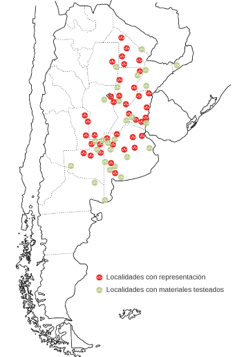 nuestras representaciones